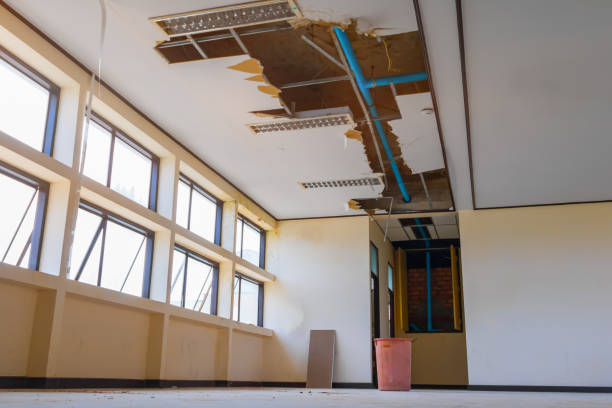 Best Ceiling water damage repair  in Hoosick Falls, NY