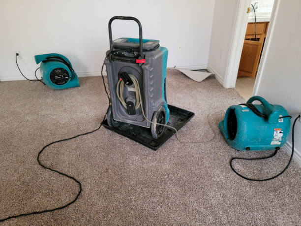 Best Water damage restoration near me  in Hoosick Falls, NY