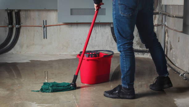 Best Water damage restoration cost  in Hoosick Falls, NY
