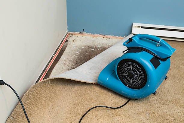 Best Mold removal after water damage  in Hoosick Falls, NY